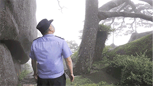 4a494a08c3501e2f06aea8dd469a44a1.gif