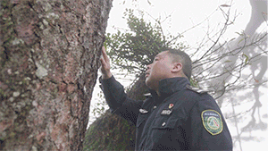 a50cfa3550a5f88d06b5f06248b3f75a.gif