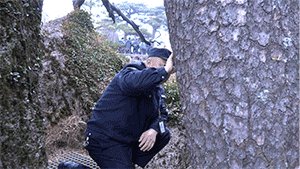 c515b246d999ae5020b040258e7a0afd.gif