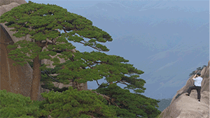 f082af1290e26f4097178da26726788b.gif