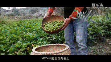 fd2b08daf694c5a3dad43291af9dc786.gif