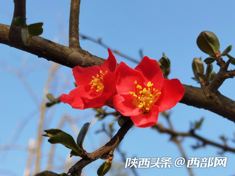 30db37a634f7899febe65ca81d74591b.png