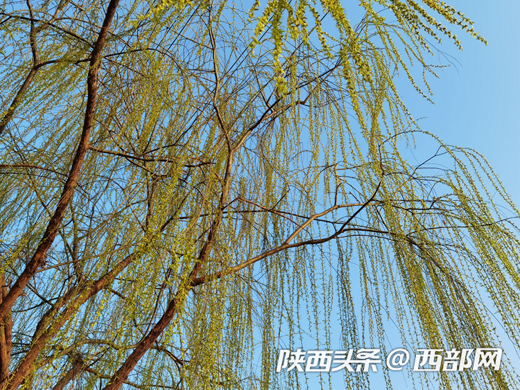5bcd604865f77c7fcd8f30b98fa3ccef.png