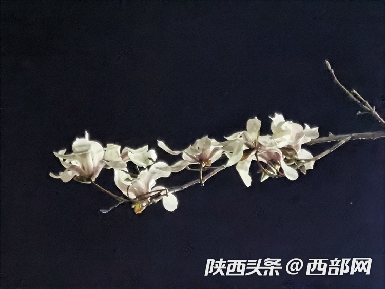 5866576cd32a358912e5f4e27b659c63.png