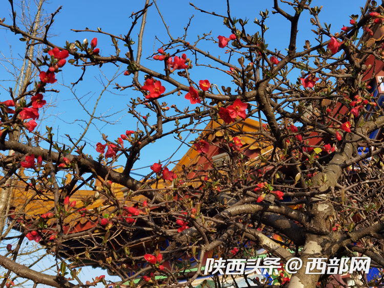 d8cd443f7eb8c7b64a425653e235e709.png