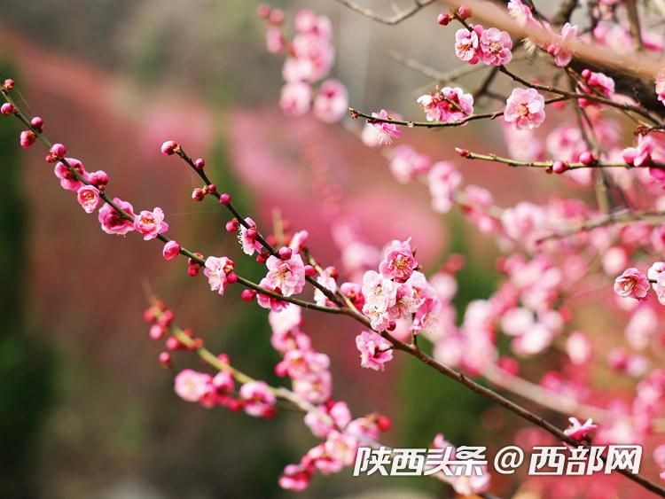 正在上传... 0d1c1c908b5b4c4beb8e70144b7e73f2.jpeg