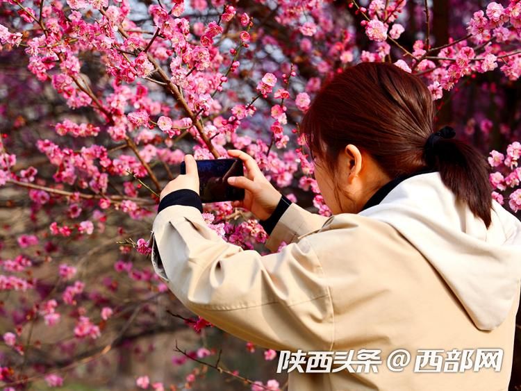 正在上传... 0fbc982cd7dea23e1e62ef197f5bcc6b.jpeg