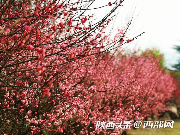 正在上传... 327645e20787dcccbb3c901da193bdd8.jpeg