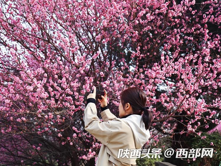 正在上传... 59ffc459d9bd9040c60d175828f550c3.jpeg