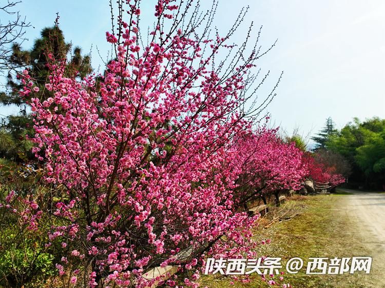 正在上传... 6a0c33d666e61e80e9a74c15edcc8969.jpeg