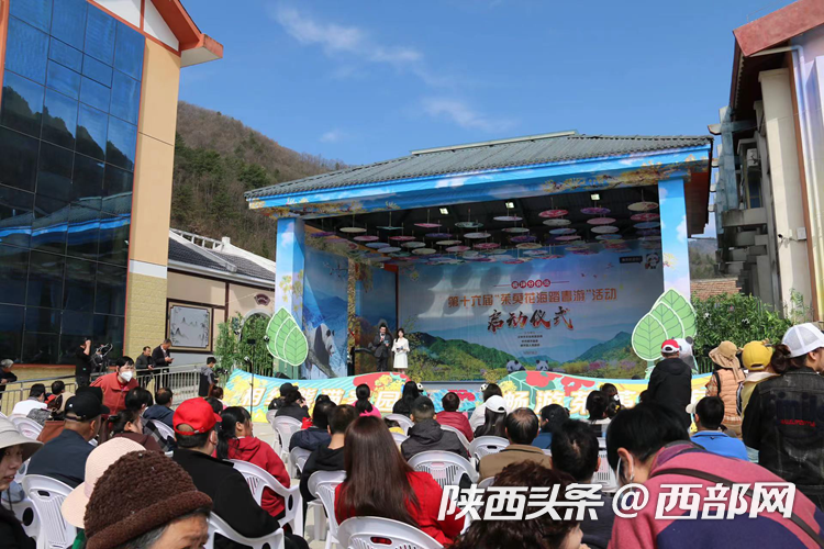 2023·中国最美油菜花海汉中旅游文化节佛坪分会场暨第十六届“茱萸花海踏春游”启动 - 西部网(陕西新闻网)