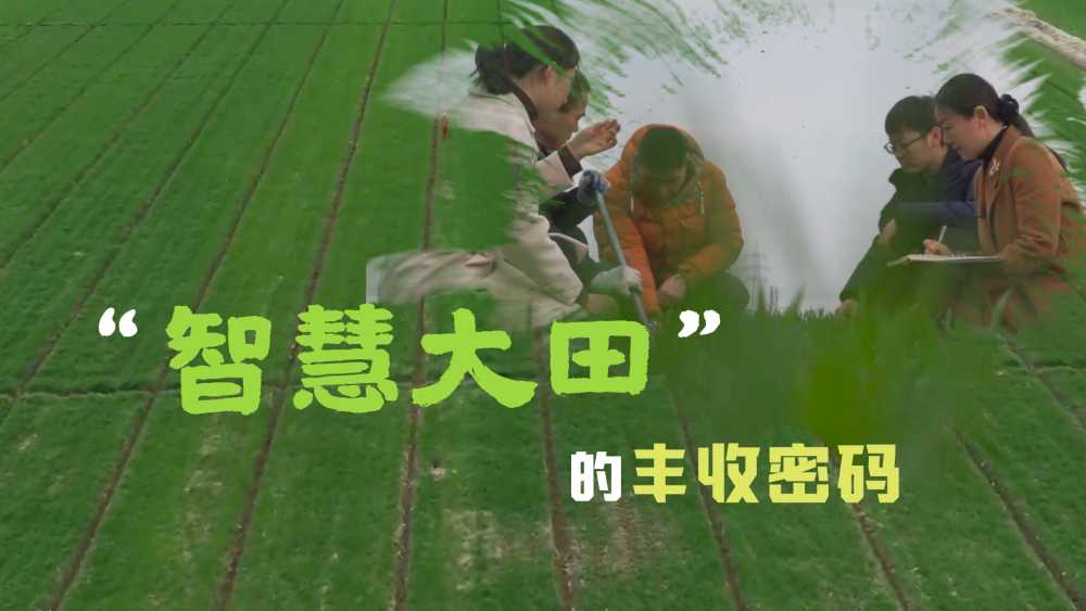 01c17c8a78ec74c19a187a55b65542d5.png