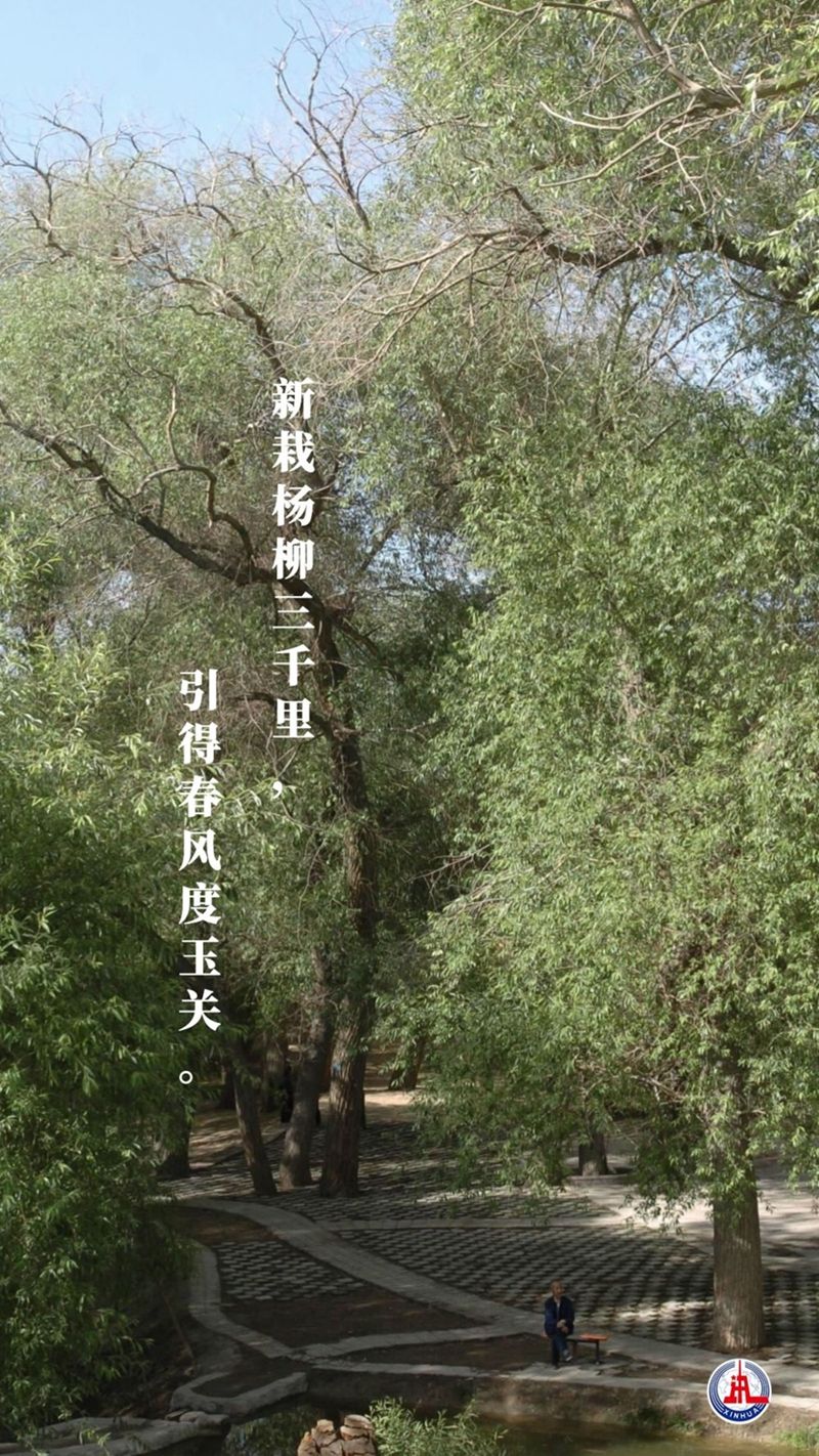 52fe90da6251f8527857bc3d74c82a8b.jpeg
