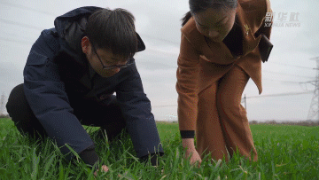 639fe1c93d91c17c743a0c137e5a9761.gif