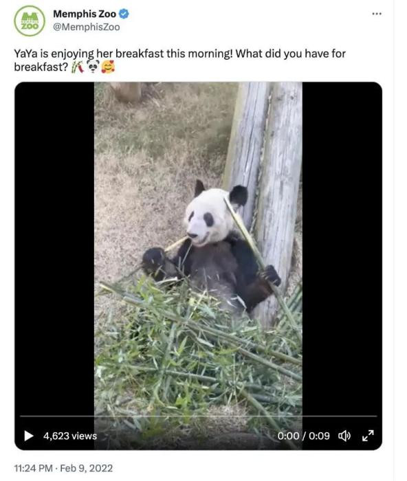 a9fb2da4b1bb23e6246dcfc4c2bb2093.jpeg