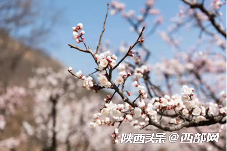 bd357c4657d0c8b22900687d877a288b.png