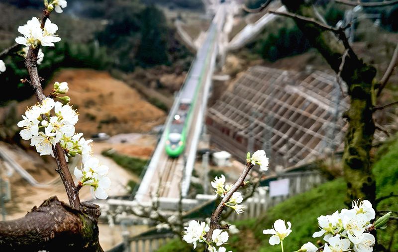 复兴号动车组列车穿行在山间。 中国铁路南昌局集团有限公司供图