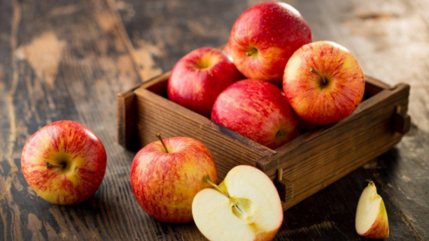 桦树花粉过敏 为啥不能吃苹果？