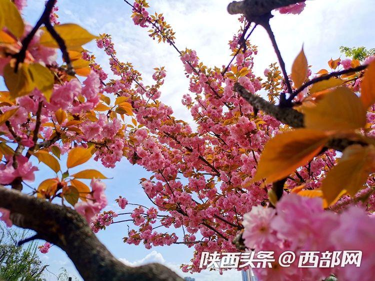 52cb64b05bac5520a3b89833e6321578.jpeg