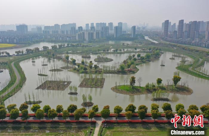 图为：灵粮农场内保留的湿地景观。 王刚 摄