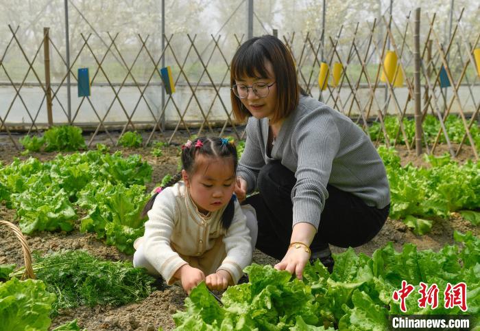 图为：游客带孩子在灵粮农场体验采摘。 王刚 摄