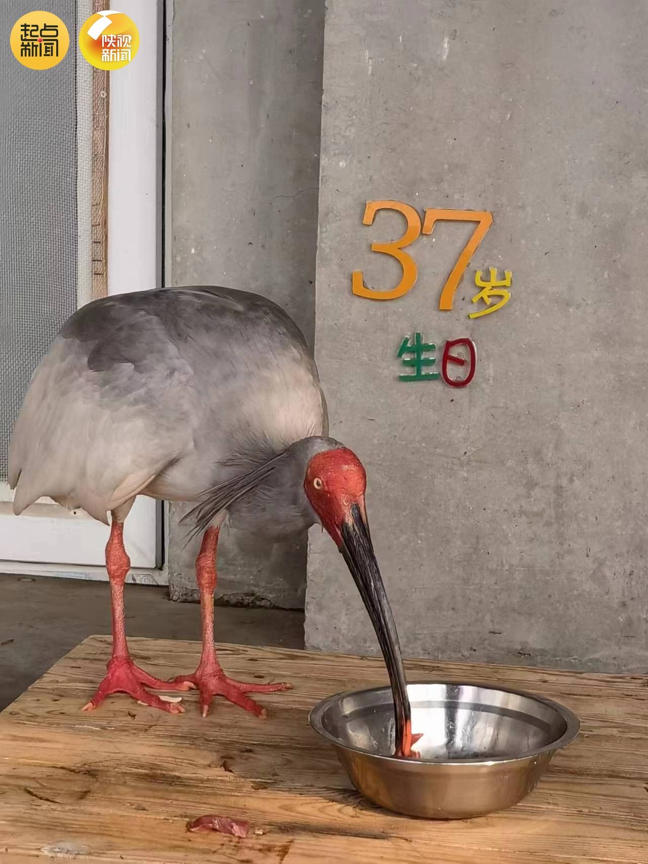 df5f272709f0946922e3aff8d2eeba11.jpeg