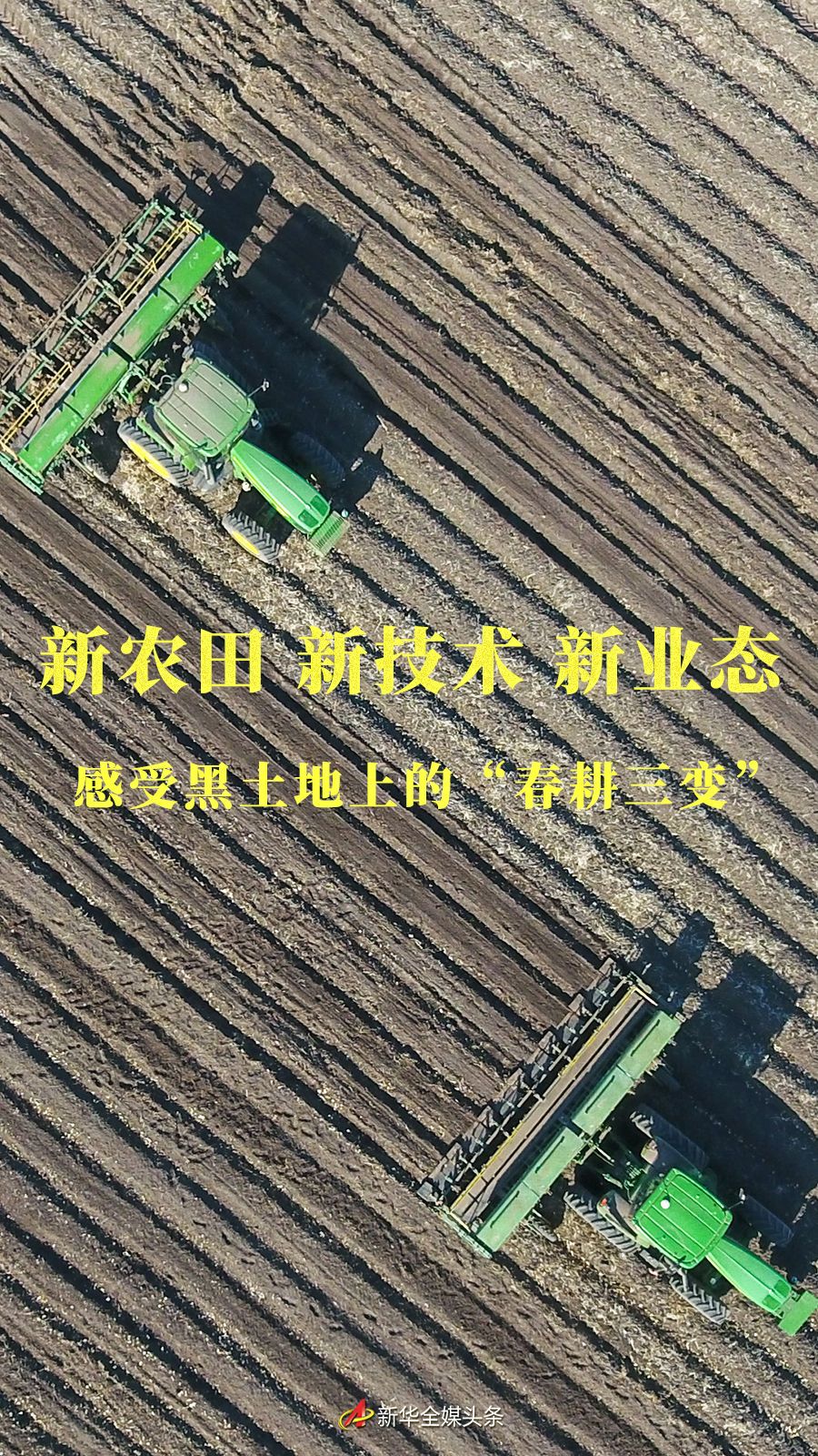 c33579180f1504dbf3db835b7344cd1b.jpeg