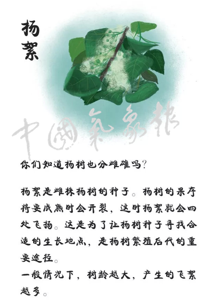 c9b27b97d21e405d189b6cbadc7dcf63.png