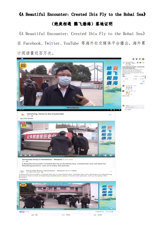 354e31015aea5d1b128f9b92fef93621.png