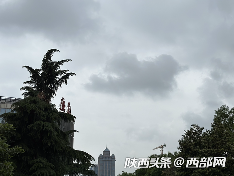 d6ccde0749b21185603b39bf499487ad.png