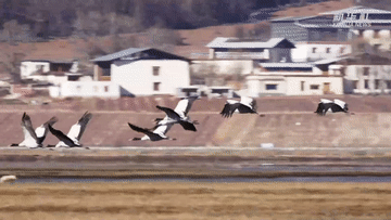 a044c1d2b5c23f925938f49894d86d68.gif