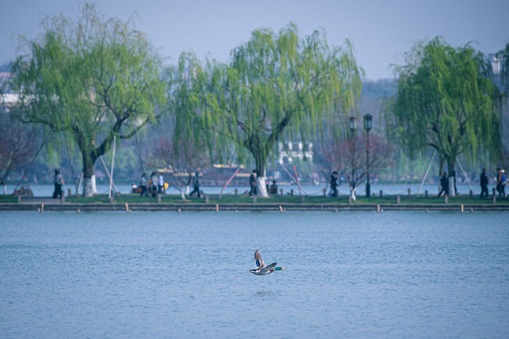 dc0e64599a19b8dac135c52a5aa206a0.jpeg