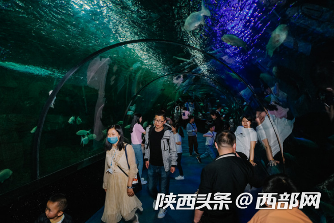 正在上传... 9314114d95bc1dca211f093c1f4ee70b.png