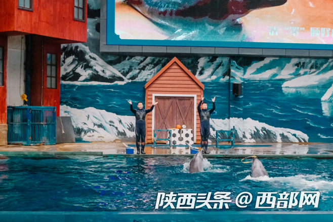 正在上传... e494e4ce99ddb715bf1bf6a97322a5d6.png