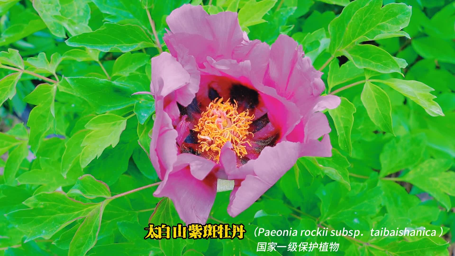f28a5de964f269c3bee97c6a98a2a643.jpg