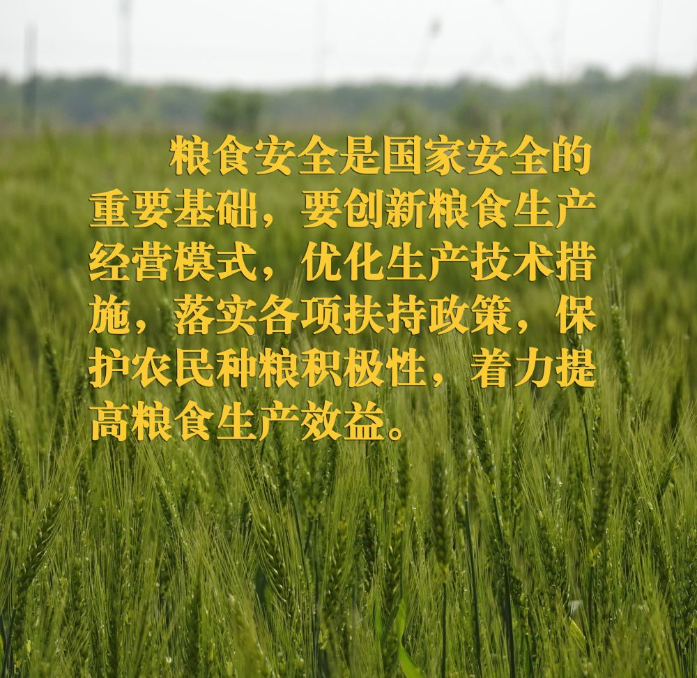 a67d16a8910905a9fe4f4054134d53d5.jpeg