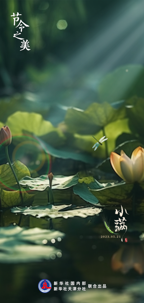 065fd8a3b3ed53747c3a6e5389b56427.png