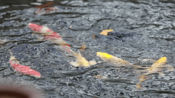 93d08597a4629280bc170b068c3dcfc7.gif