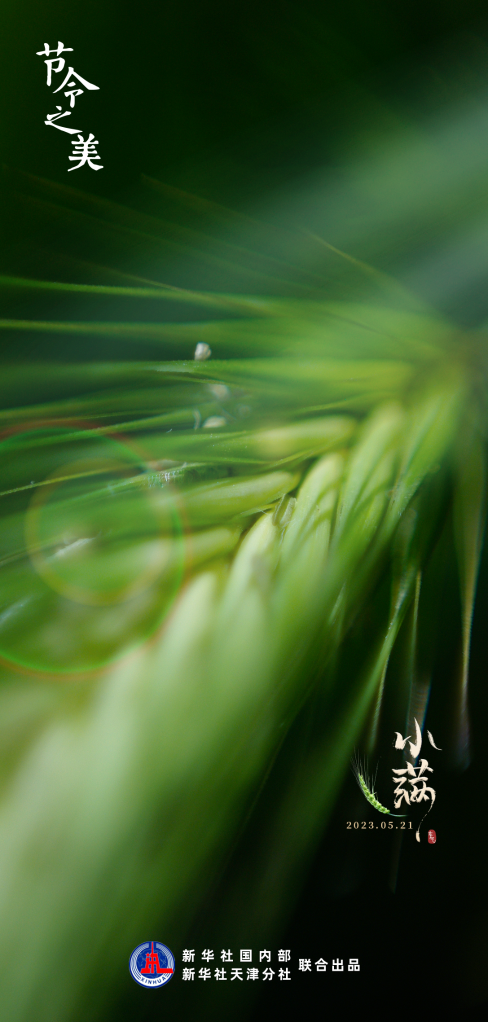 d21357db17f3265c37b80ed383deb2e5.png