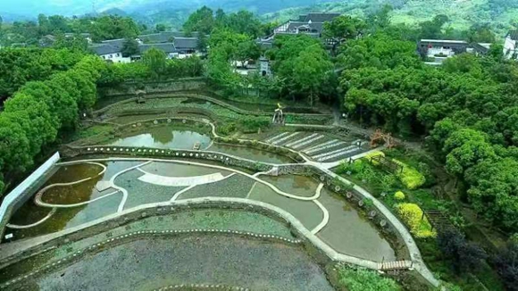 育才学校生活教育实践基地。 活动主办方供图