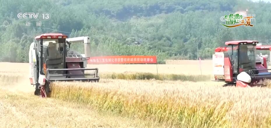 江苏淮安474万亩小麦喜开镰 精细操作确保“颗粒归仓” - 西部网（陕西新闻网）