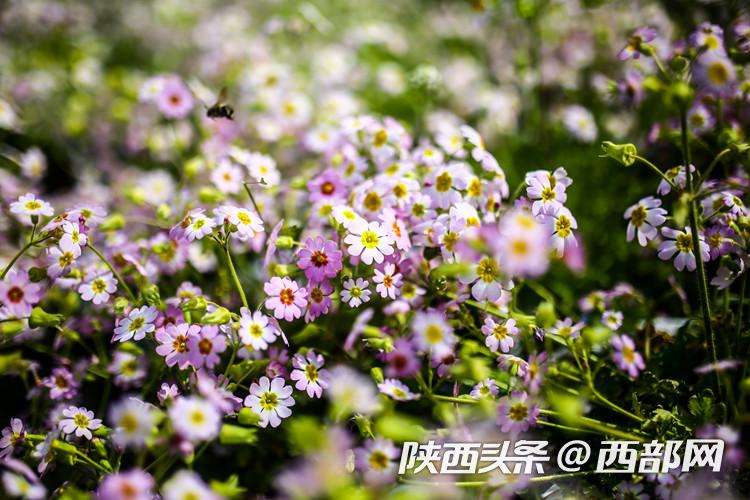 61cbe1a6d23866d4eda2a25450194ed8.jpeg