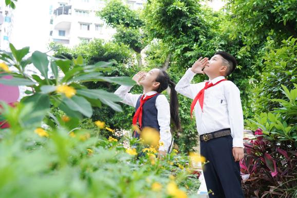 11.森林小学打造绿色环境文化，让孩子亲近自然润泽心灵