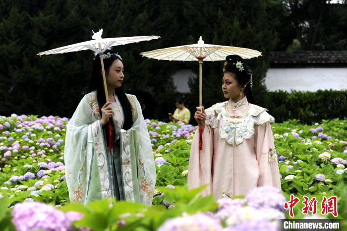 图为市民身穿汉服在花海中游玩。 高铖 摄