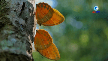 eb392169b76eb0c1201efd310625a657.gif