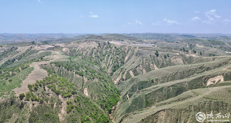 2-