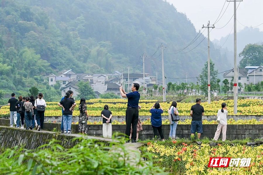微信图片_20230604171750_副本.jpg