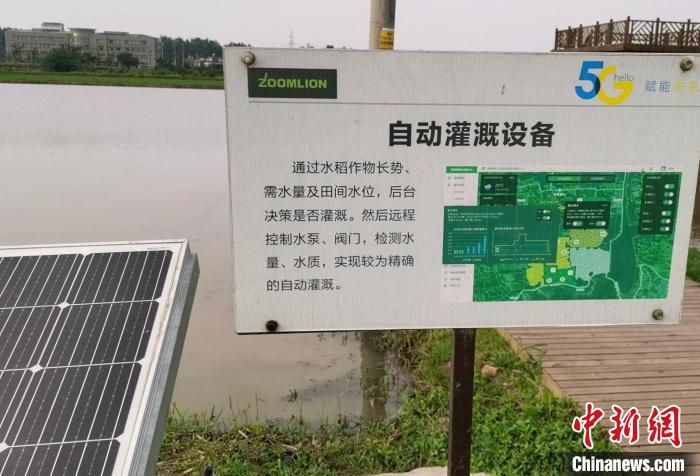 农田中建设的自动灌溉设备。 张俊 摄