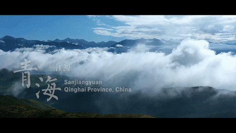 4b17c75b46948eaf7f84080e7d66887e.gif
