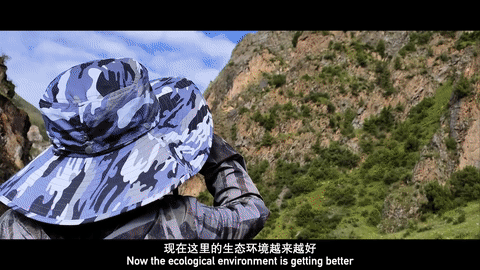 4d773798bfaeb2f0954180d25c6086dc.gif